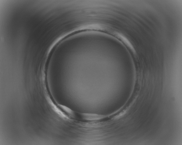 X0000083560944200702091121