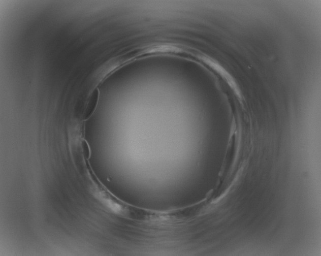 X0000083560945200702091121