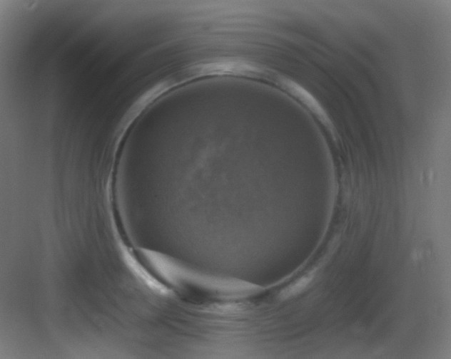X0000083560946200702091121