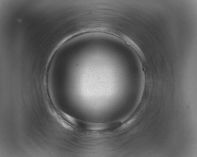 X0000083560956200702091121