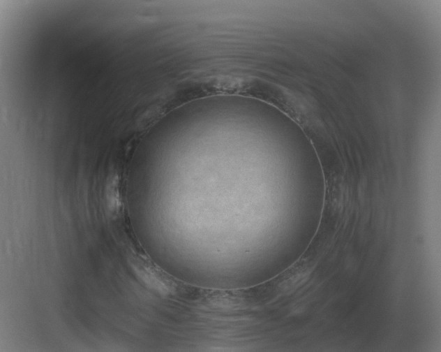 X0000083560962200702091120