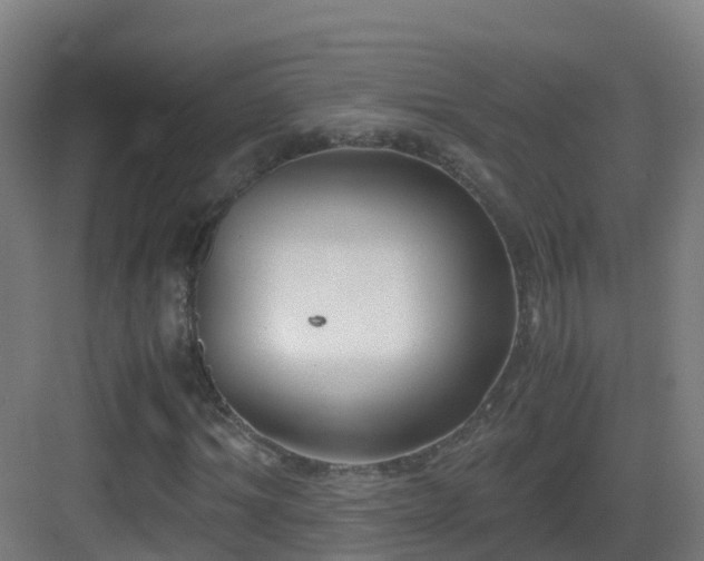 X0000083560964200702091120