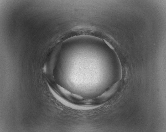 X0000083560965200702091120