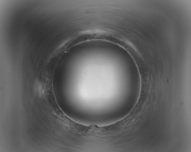 X0000083560967200702091120