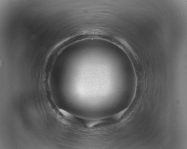 X0000083560971200702091120
