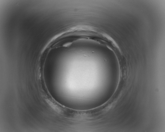 X0000083560973200702091120