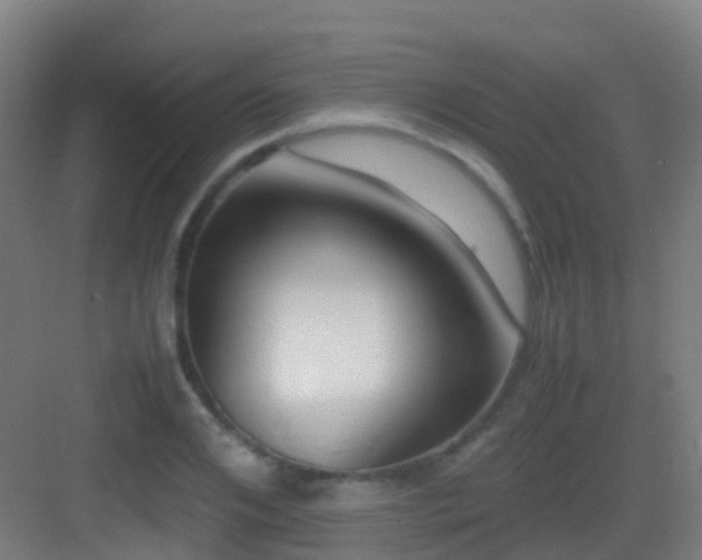 X0000083560984200702091120
