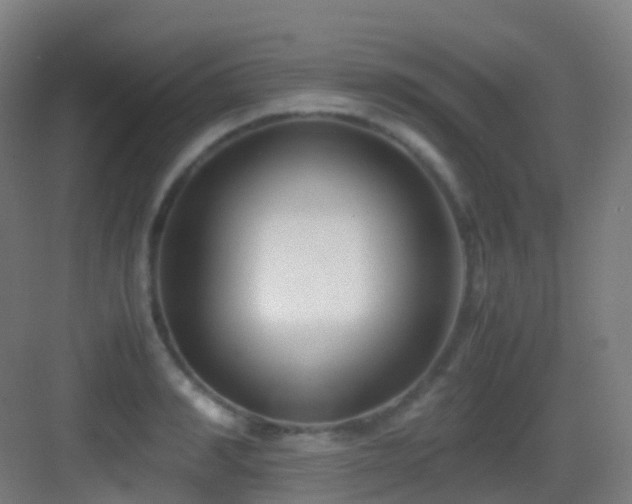 X0000083560990200702091120