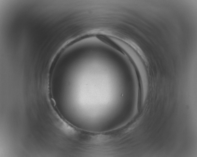 X0000083560992200702091120