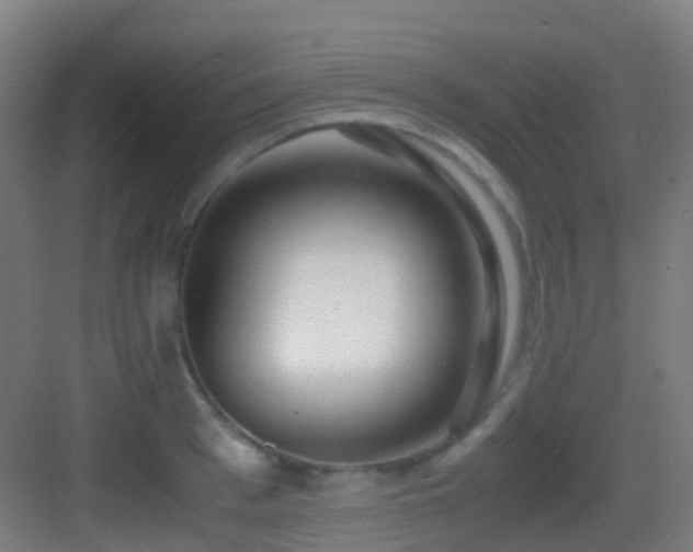 X0000083560993200702091120