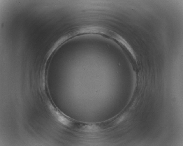 X0000083560994200702091120