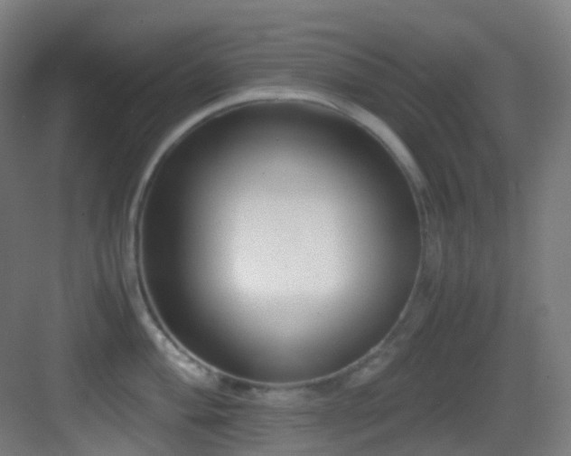 X0000083561004200702091120