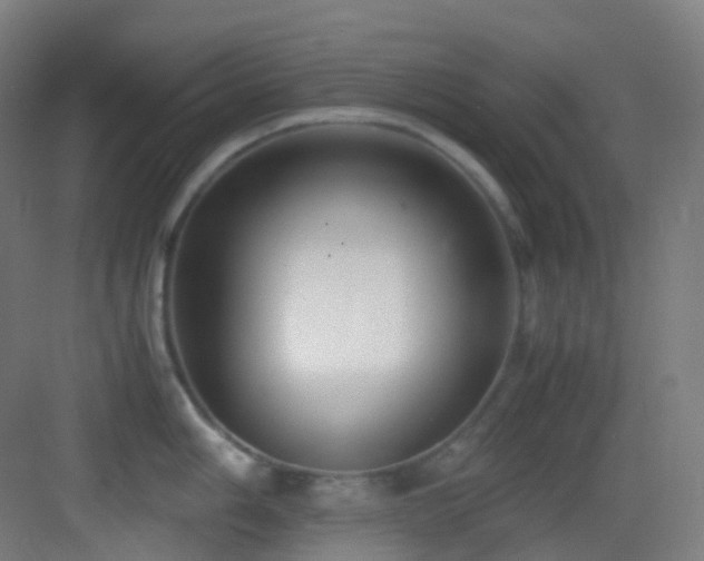 X0000083561006200702091120