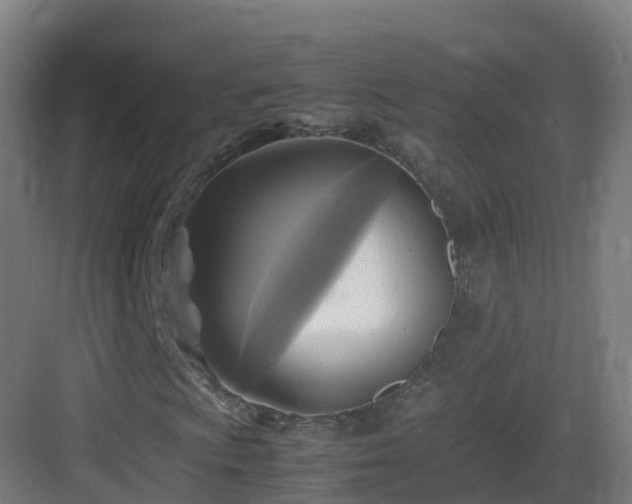 X0000083561009200702091119
