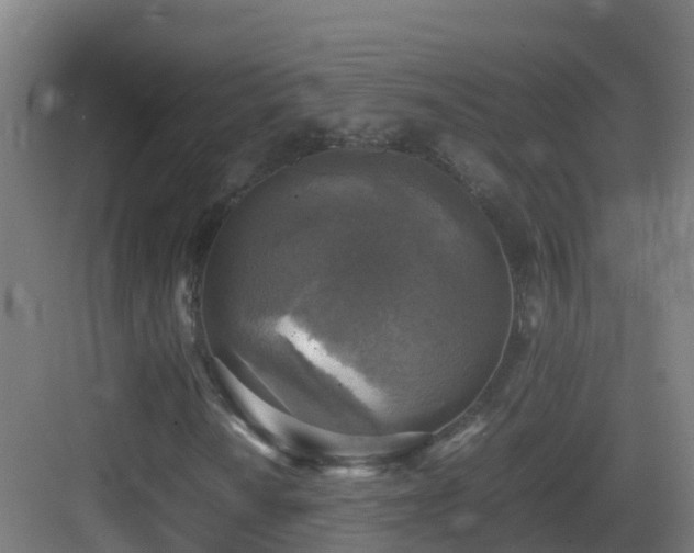 X0000083561010200702091119