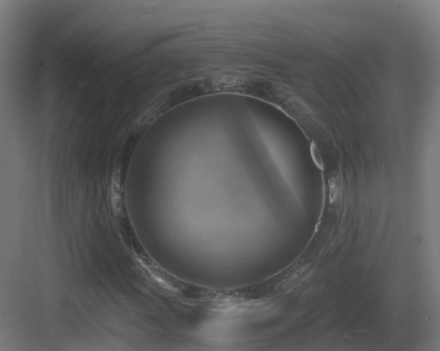 X0000083561011200702091119