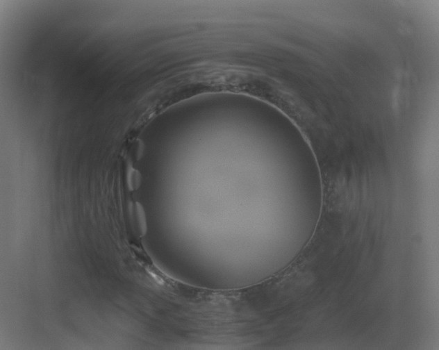 X0000083561013200702091119