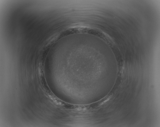 X0000083561014200702091119