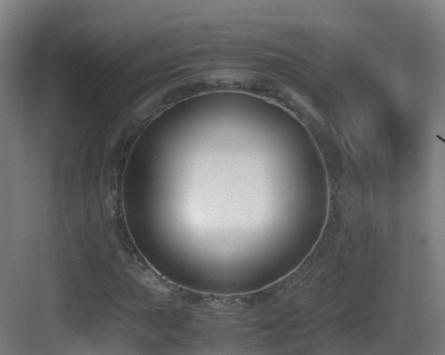 X0000083561015200702091119