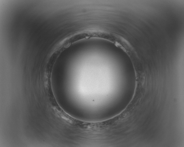 X0000083561016200702091119