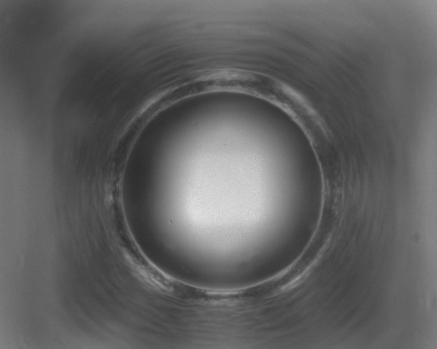 X0000083561017200702091119