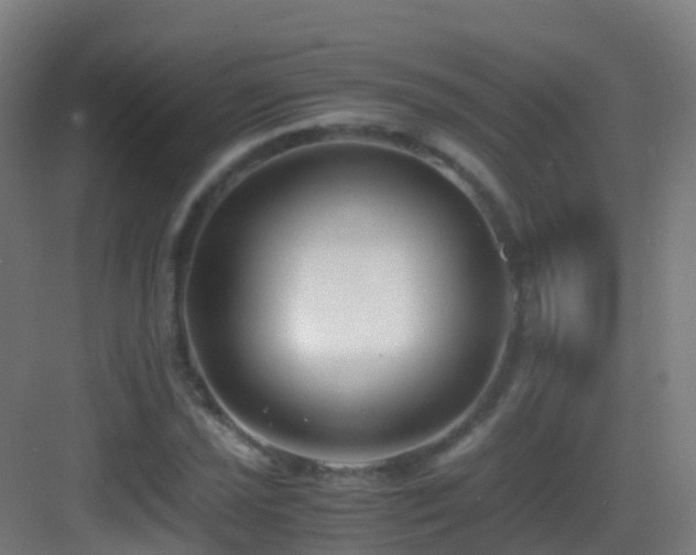 X0000083561021200702091119