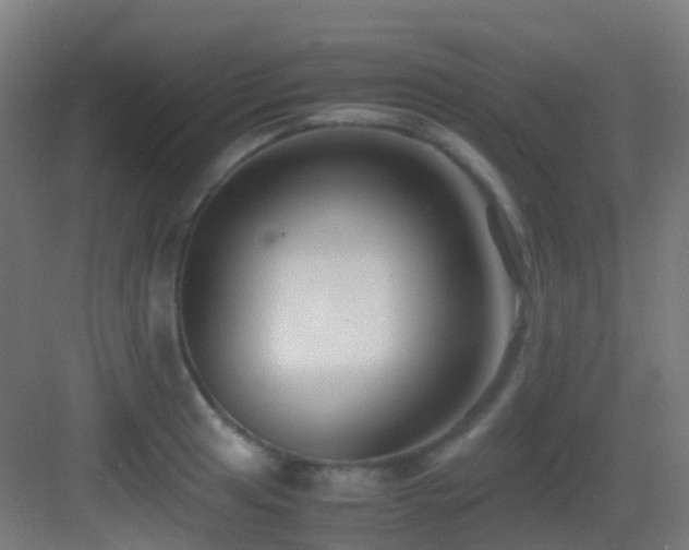 X0000083561041200702091119