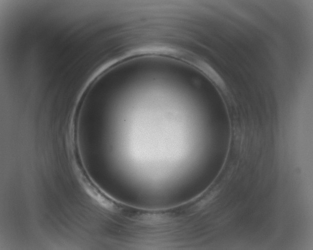 X0000083561044200702091119
