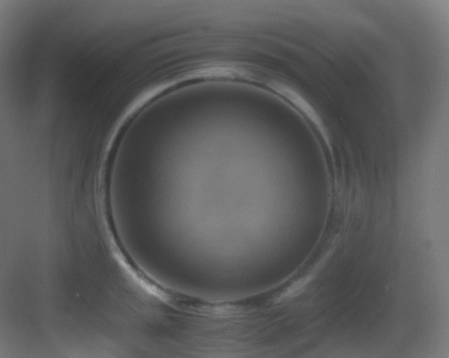 X0000083561045200702091119