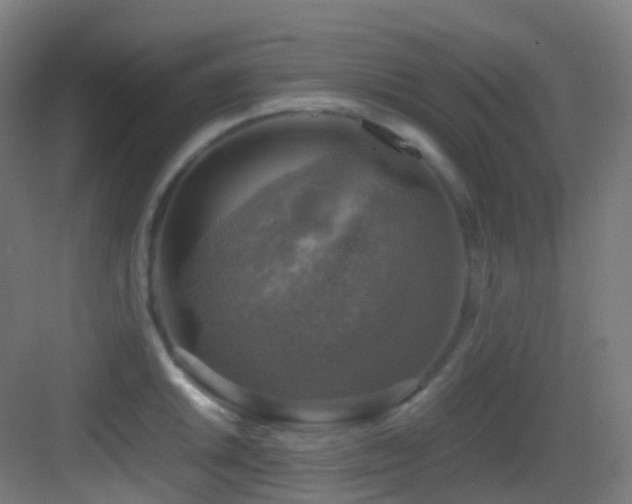 X0000083561046200702091119