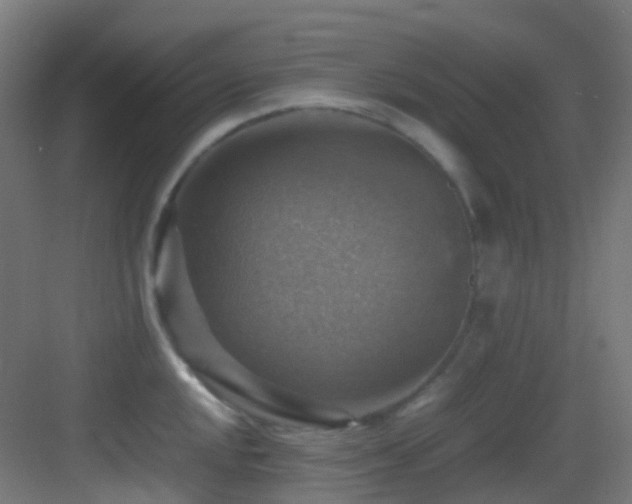 X0000083561048200702091119