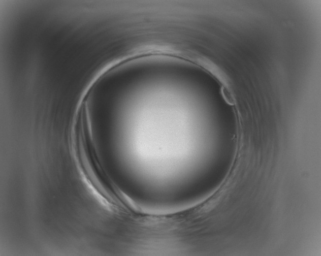 X0000083561056200702091119