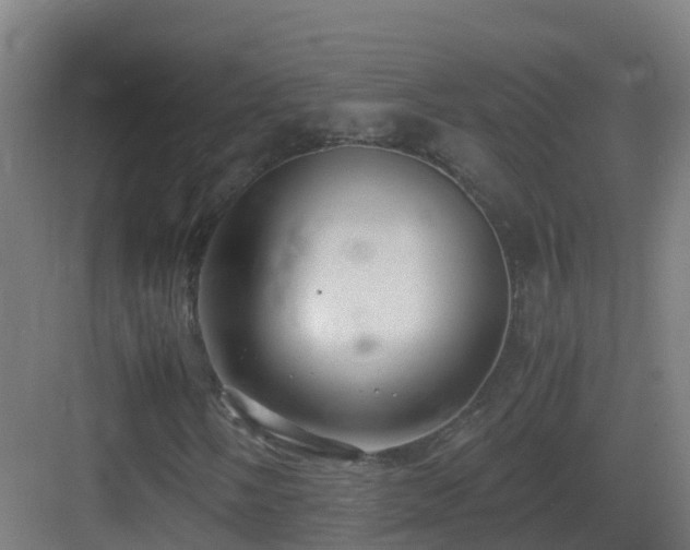 X0000083561058200702091119