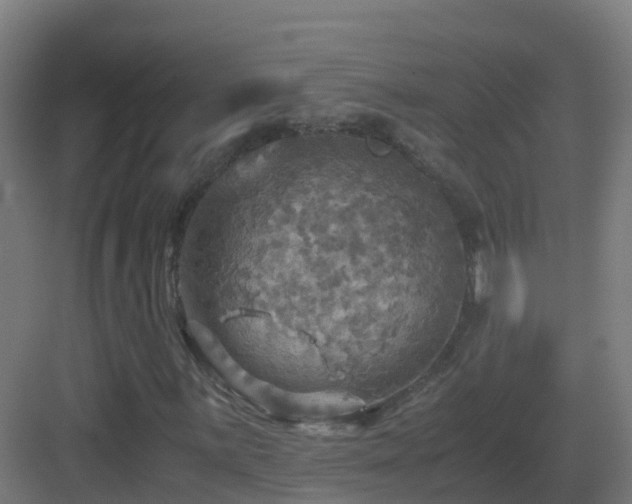 X0000083561059200702091119