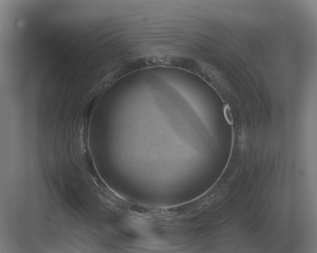 X0000083561060200702091119