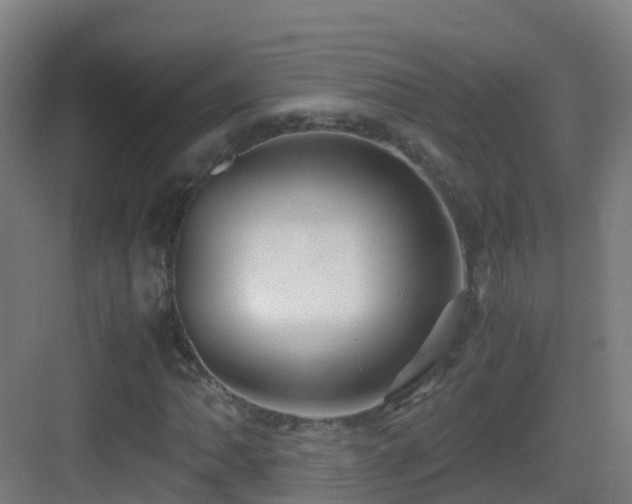 X0000083561062200702091119
