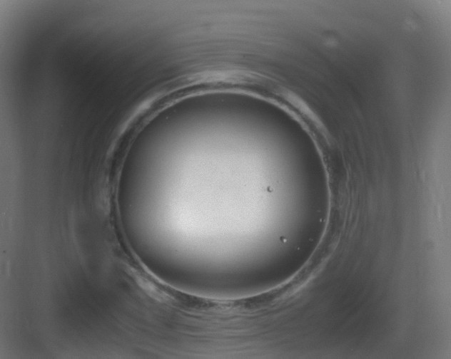 X0000083561067200702091118