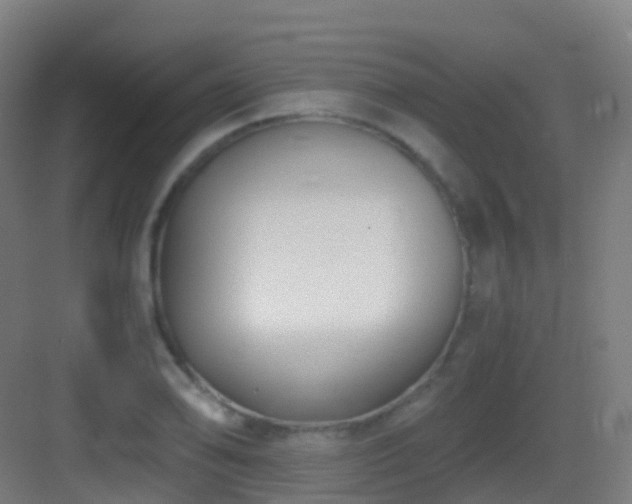 X0000083561078200702091118