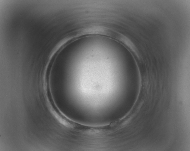 X0000083561082200702091118