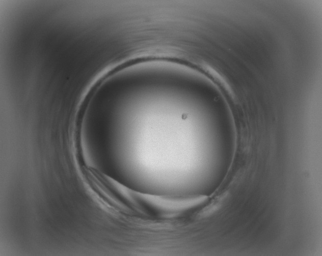 X0000083561085200702091118