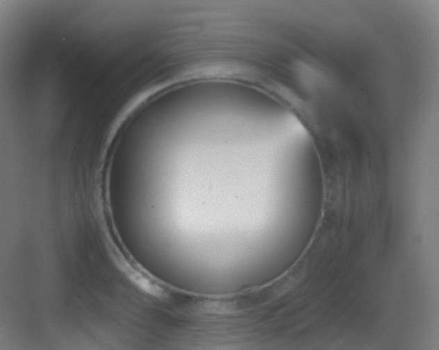 X0000083561086200702091118