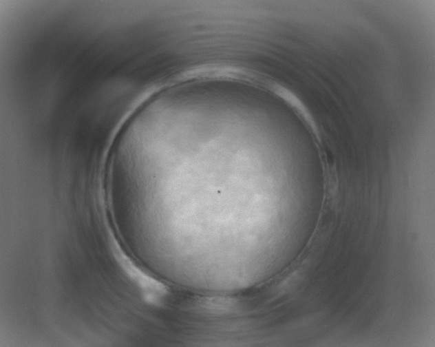 X0000083561090200702091118