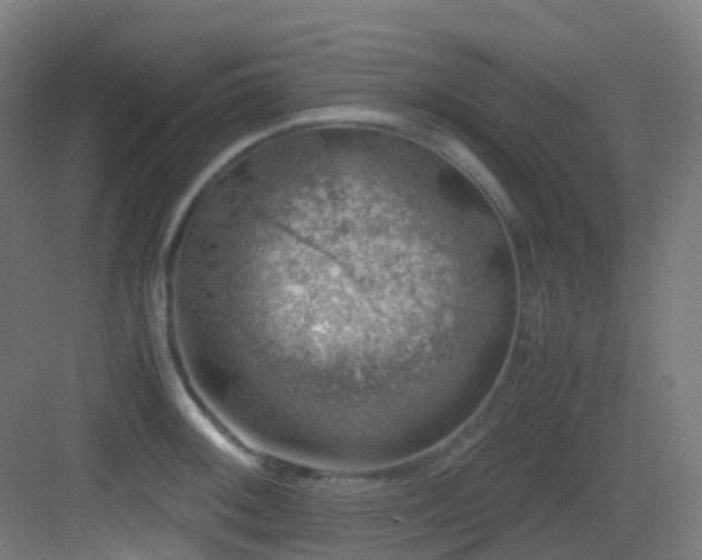 X0000083561092200702091118