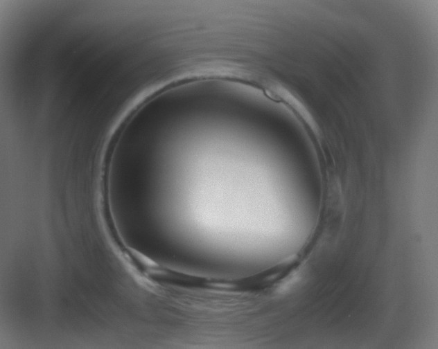 X0000083561093200702091118