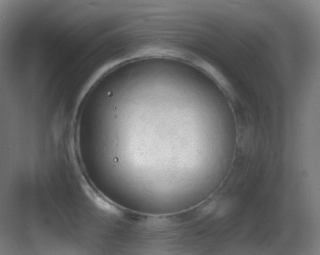 X0000083561094200702091118