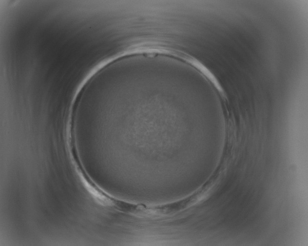 X0000083561101200702091118