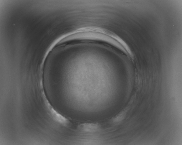 X0000083561102200702091118