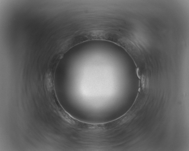 X0000083561107200702091117