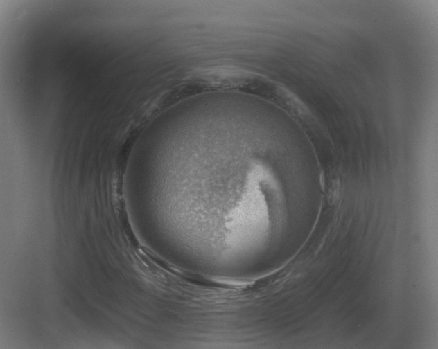 X0000083561108200702091117