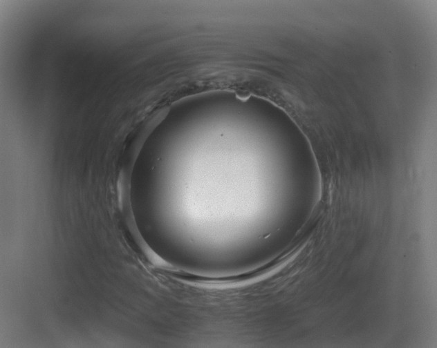 X0000083561109200702091117